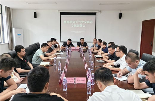 集团组织召开汛期安全生产工作专题部署会